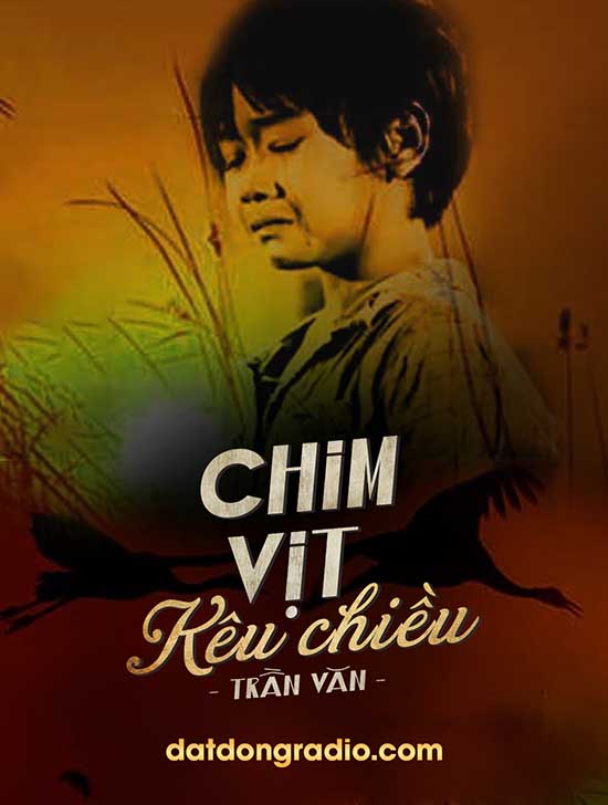 Chim Vịt Kêu Chiều