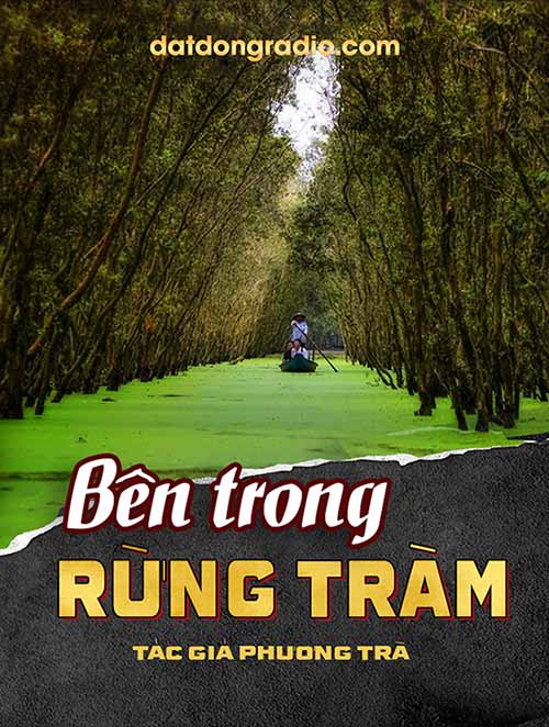 Bên Trong Rừng Tràm