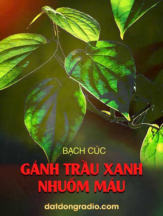 Gánh Trầu Xanh Nhuốm Máu (Series Cô Tư Trân P1)