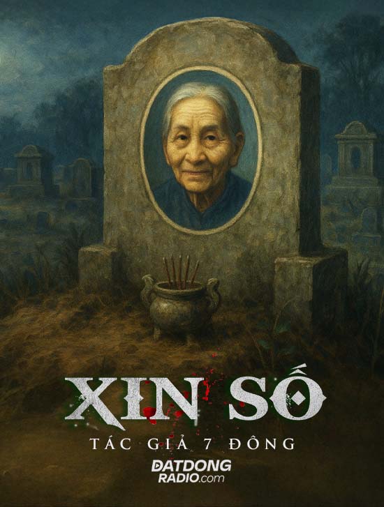Xin Số