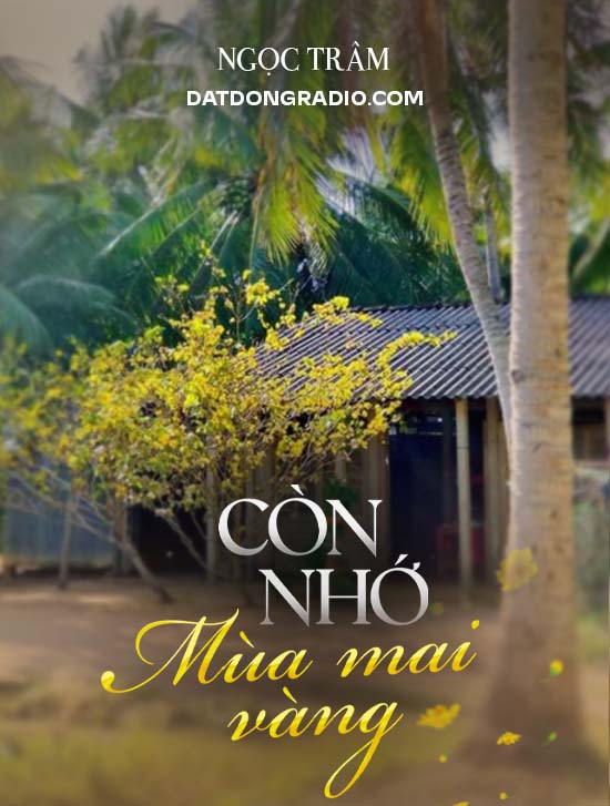 Còn Nhớ Mùa Mai Vàng