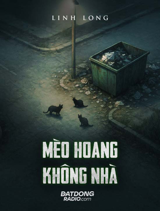 Mèo Hoang Không Nhà